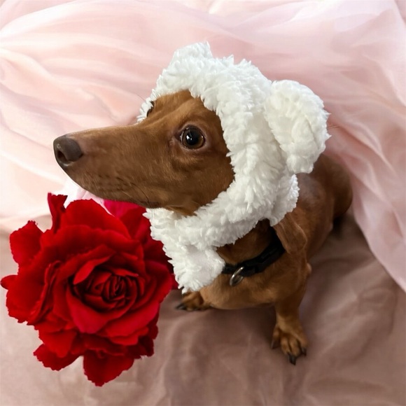 NEW Adorable Pet Hat - Picture 2 of 4